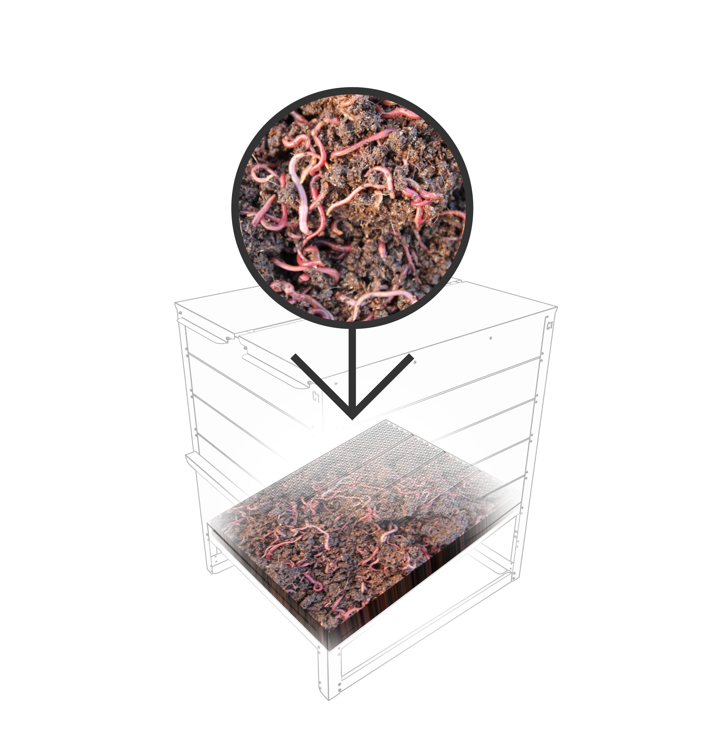 Ensemencement-500-100